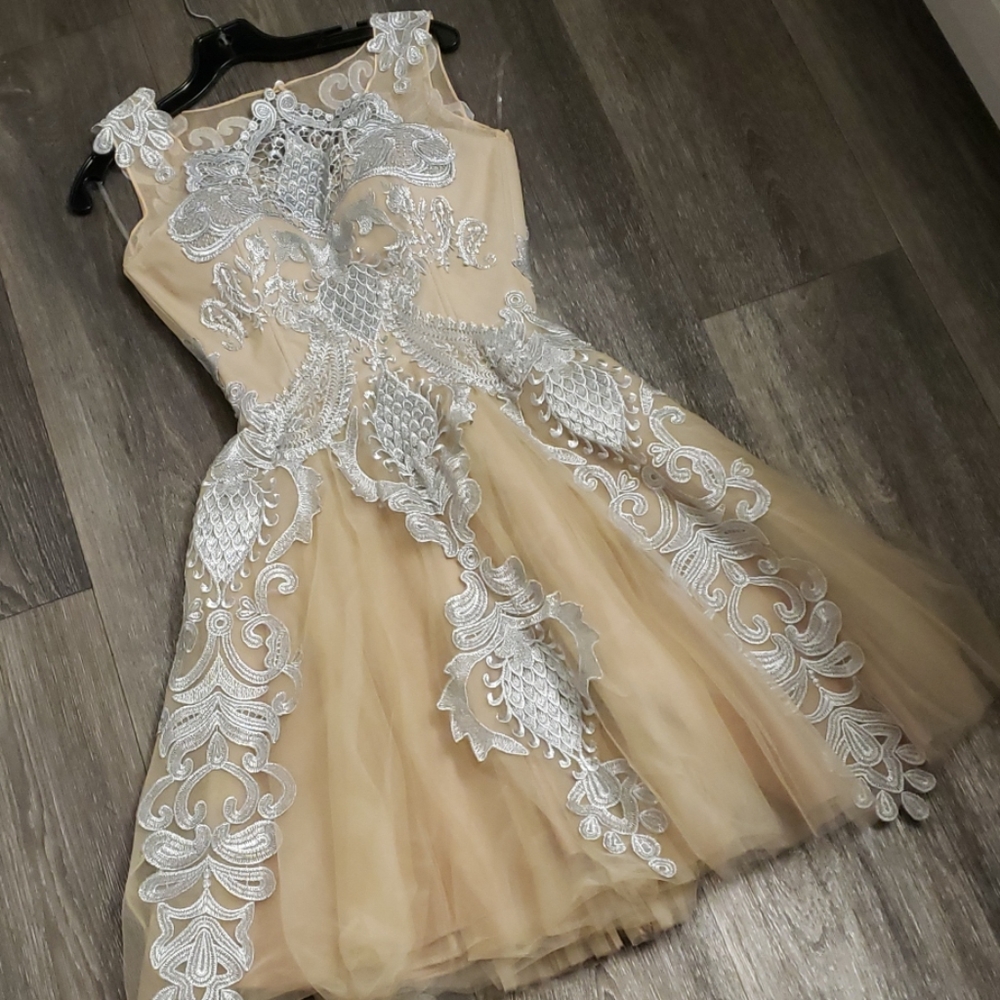 Silver Lace Cream Beige Tulle Dress by Chotronette
